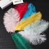 Material de flores de fibra Zhuo, ramo de plumas de colores, decoración de embalaje, joyería floral de estilo nórdico, flores de terciopelo de avestruz, materiales de embalaje