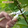 Tijeras de podar de acero inoxidable, Tijeras de jardinería multifuncionales, Tijeras para recolectar fruta de huerto, Tijeras para ramas de jardín, Tijeras potentes para ramas