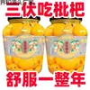 Níspero enlatado fresco, fruta grande sin semillas recién recolectada, conservas de fruta en agua azucarada, latas grandes comerciales, caja completa