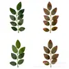 Folhas de Rosa com Espinhos Artificiais Folhagem de Outono Pendente de Parede Cachos Grandes de Cipós Galhos Finos Folhas de 7 Folhas Folhas de 9 Folhas Acessórios Folhas de Salgueiro Falsas Decorativas