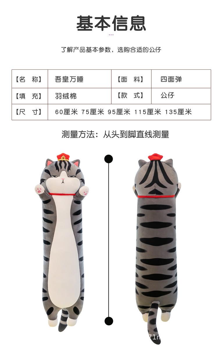 吾皇猫_07.jpg