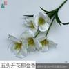 Tulipa Flor de Três Pétalas Duas Folhas Tulipa Florindo Cinco Flores Decoração de Sala de Estar em Casa Flor Artificial Flor de Casamento Obra de Arte Flor de Seda