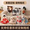 Almohada de forma especial, cojín creativo personalizado, lote pequeño, empresa personalizada, muñeca de dibujos animados, mascota, almohada humanoide