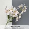 Nueva flor artificial de champán para el hogar, sala de estar, mesa de centro, exhibición de flores, boda, fondo de boda, decoración de pared, flor falsa