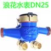 Medidor de Agua Doméstico Rosca Marca Lianyungang Langhua Casa de Alquiler Agua de Grifo Mecánico Digital Rotor Sello Líquido Húmedo Medidor de Agua