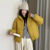 Jaqueta Corta-Vento Acolchoada com Costelas Feminina Curta Gola Alta 2026 Outono Inverno Estilo Coreano Cordão Leve Petite 90 Jaqueta de Penas de Pato Branco