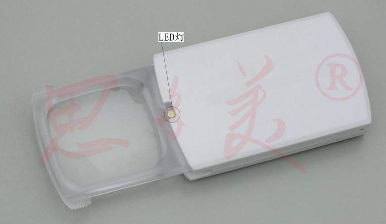 照片 310_副本