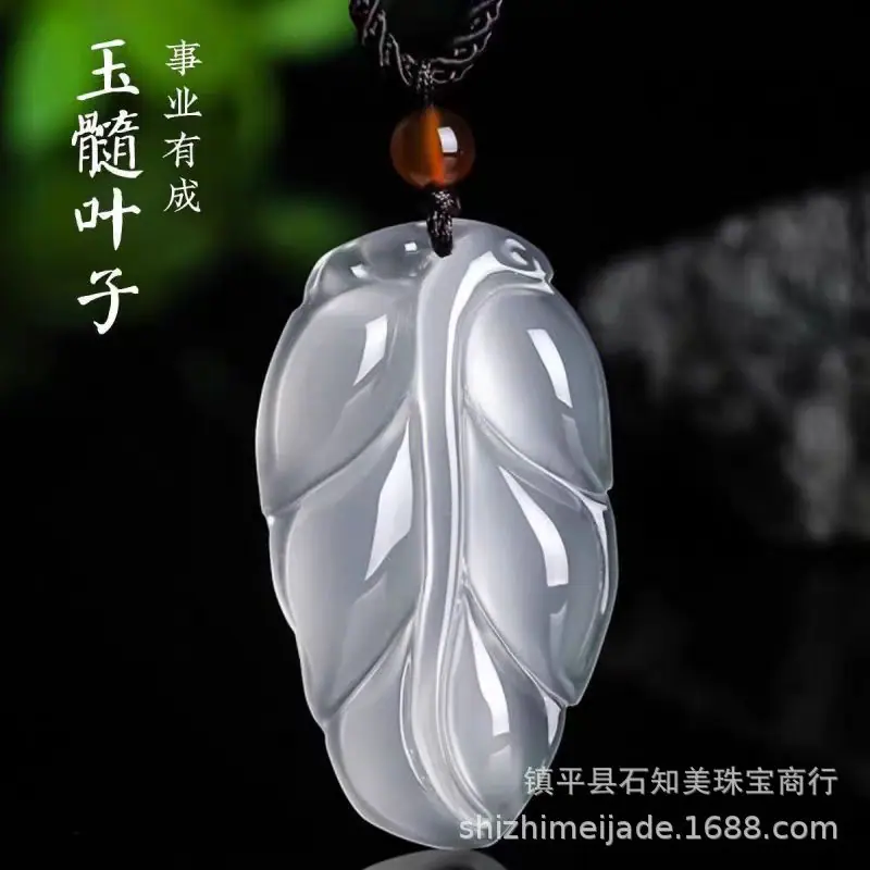 微信图片_202411140850551