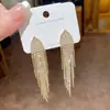Pendientes largos de borla con microincrustaciones de circonita, versátiles, estilo coreano para mujer, diseño de nicho con una sensación de alta gama, etérea y elegante