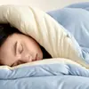 Otoño e invierno acolchado cálido clase A fibra de soja colcha de invierno dormitorio estudiantil individual doble colcha de primavera y otoño núcleo de colcha