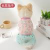 Nuevo vestido de malla para perros y gatos, vestido de princesa, ropa ultrafina de verano para mascotas, venta directa de fábrica