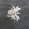 Planta Verde Simulada Hojas Ricas Lugar de Reunión de Boda Material de Ajuste Suave Fondo Camino Flor de Inserción Liderar Flor de Seda Hotel Flor Decorativa