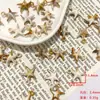 Concha de caracola marina acrílico cuentas sueltas DIY accesorios para joyería colgantes para pulseras hechas a mano materiales para colgante de cadena de teléfono