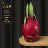 Adornos de frutas simuladas, cubiertas de plástico para verduras, manzanas y plátanos decorativos falsos, modelos educativos, accesorios para fotografía, decoraciones para gabinetes.
