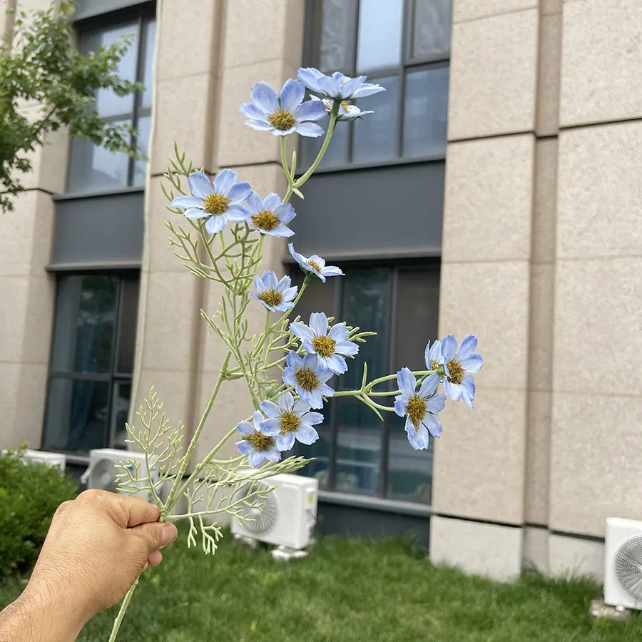 2叉植绒小野菊-xjmlkx 6#浅蓝.JPG