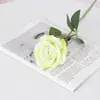 Rosas Simuladas de Veludo, Rosas de Pérola, Decoração de Parede de Rosas para Casa, Hotel, Casamento, Dia dos Namorados, Flores de Seda, Flores Artificiais