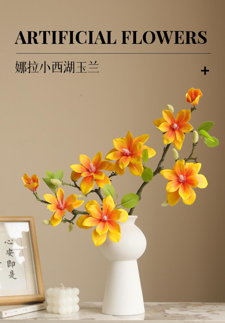 娜拉小西湖玉兰_01.jpg