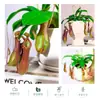 Las plantas carnívoras en maceta son plantas verdes perennes que atrapan y comen insectos, repelen mosquitos y son fáciles de mantener en balcones y en interiores.. Son flores resistentes al calor
