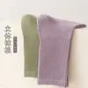 Meias de Algodão Puro para Mulheres, Novidade Primavera e Verão, Meia-Calça de Cor Sólida, Versátil e Casual, Meias Femininas Anti-Pilling, Atacado de Zhuji