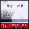 0.05 extensión de pestañas de injerto de trébol, flor grande, natural, gruesa, curvada BC, suave, súper visón, tienda de pestañas especial
