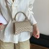 Bolso Cruzado Casual con Patrón de Cocodrilo 2025 Nueva Moda Estilo Coreano Elegante Simple Bolso de Mano Bolso Cuadrado Pequeño para Mujer