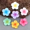 Accesorios Brillantes de Resina de Plumeria Frescos y Dulces Lindos Accesorios para el Cabello DIY Pasador de Flor Cuerda para el Cabello Accesorios de Flor de Cinco Pétalos