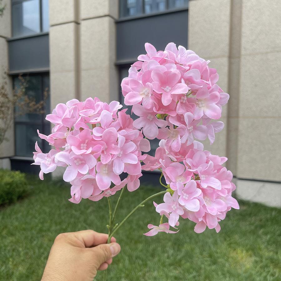 3头5瓣啸天绣球-sxxtx-粉色.JPG