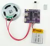 Módulo de Movimento Musical Download USB Amplificador de Potência Embutido 3W Botão de Memória 4m/16m Controle de Luz Controle Magnético Cartão de Saudação Jr051