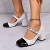 Zapatos Mary Jane Retro de Nicho Estilo Francés 2025 Nueva Moda Versátiles Estilo Chanel Punta Cuadrada Bajos de Tacón Grueso Zapatos Individuales para Mujer
