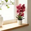 Arreglo de Oficina en Maceta Vertical de Tiras Nuevas Phalaenopsis Transfronterizo Flor Artificial Simulada Bonsái de Flor Artificial Adornos de Escritorio