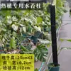 Pilar de musgo Sphagnum para pared, nuevo modelo 2026 para plantas tropicales, pilar de soporte para planta trepadora Monstera, se puede empalmar y extender para ajustar el tamaño