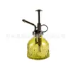 Botella pulverizadora para regar Regadera vintage de vidrio repujado para jardinería uso doméstico Pulverizador pequeño a presión