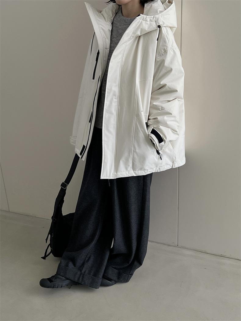 2024-11-27 183707.jpg