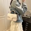 Bolso Pequeño Cuadrado Estilo Coreano para Mujer 2025 Verano Nuevo Moda Tendencia Bolso de Hombro Bolso Cruzado para Viajar al Trabajo