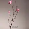 Magnolia Nórdica Rama Larga Flor Seca Ramo Grande De Pie Ramas Secas Naturales Flores Secas Hechas a Mano Gabinete de Entrada con Rejilla Abierta