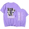 Nueva Camiseta Redonda de Manga Corta Estampada Deportiva de Verano para Concierto de Taylor Europea y Americana 2025