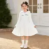 Vestido Sudadera de Manga Larga para Niñas, Nuevo Estilo de Primavera, Moderno y Elegante, Vestido con Capucha para Niños Mayores, Vestido Casual de Longitud Media para Primavera