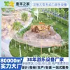 Parque de la Ciudad Equipamiento de Atracciones Personalización Pérgola de Paisajismo Exterior Estructura para Trepar Combinación de Tobogán Instalaciones de Juego No Motorizadas