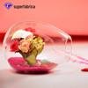 Mxmade estilo europeu criativo abertura lateral transparente vaso de vidro hidropônico suculenta planta flor micro paisagem recipiente