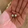 Brincos Populares Estilo Coreano Estrela Cintilante da Xiaohongshu para Mulheres, Brincos de Design Simples de Nicho, Brincos de Luxo Leve e de Alta Qualidade