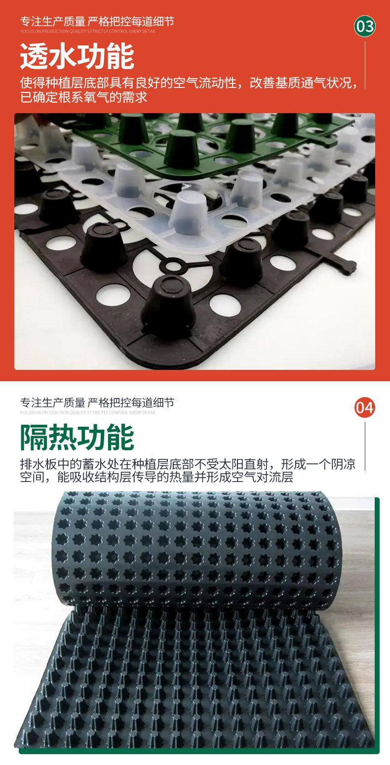 塑料排水板_04.jpg