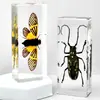 Especímenes de Insectos de Resina Real: Insectos Reales, Escarabajos, Arañas, Ciervos Voladores, Escarabajos Rinoceronte, Escorpiones, Ciempiés, Cangrejos, Mantis Religiosas, Adornos de Especímenes