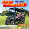 Carrito de Golf, Hotel Resort, B&B, Campo de Golf, Lugar Pintoresco, Transporte Turístico, Carrito de Playa Todoterreno, Carrito Turístico Eléctrico