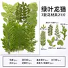 Espécimes de Plantas com Folhas Reais de Outono, Adesivos Artesanais, Flores Secas, Flores Prensadas, Pinturas Decorativas de Folhas DIY, Marcadores de Página de Plantas