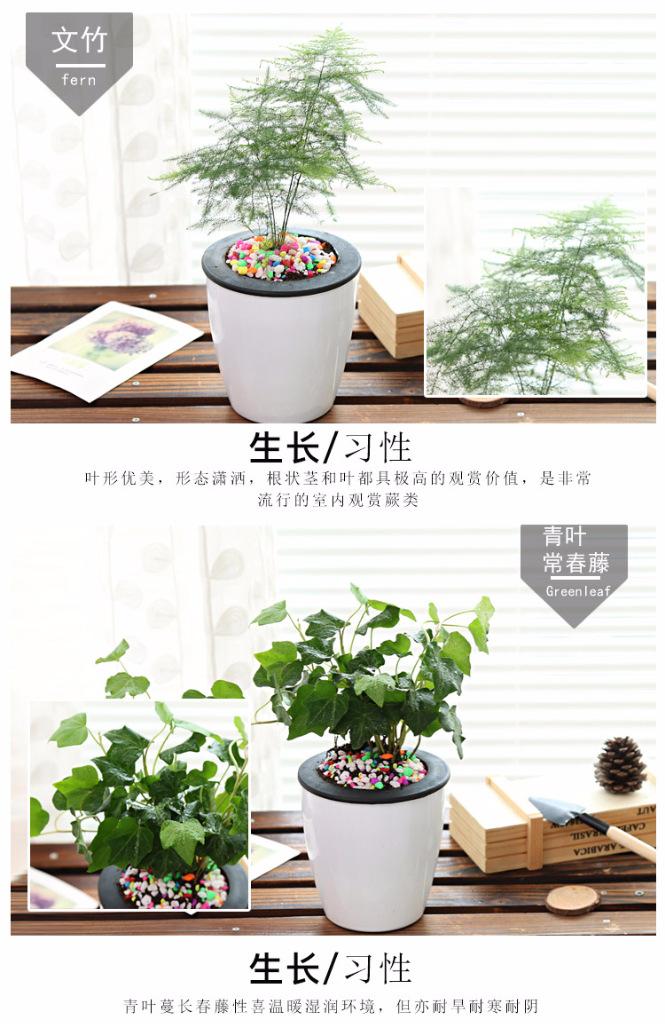 璇︾粏11