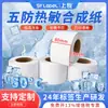 Papel Sintético Termosensible Shangyue a Prueba de Cinco Elementos Impermeable y Resistente al Desgarro 80*60*500 Hojas Cadena de Frío Resistente al Desgarro y Anticongelante Papel Sintético Termosensible