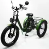 Triciclo Elétrico com Assistência de Pedal de 24 polegadas com Pneus Largos, Operado por Pedal, Transporte Leve para Lazer e Entretenimento, Triciclo Ecológico com Pneus Largos