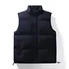 Fábrica de origen chaleco otoño e invierno nuevo color sólido chaqueta de algodón moderna casual cálido sin mangas chaleco prenda exterior venta al por mayor para exportación