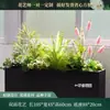Plantas Verdes Biominéticas Paisajismo Maceta Centro Comercial Tienda de Té con Leche Divisor Arreglo Floral de Simulación Adornos Restaurante Bloqueo Embellecimiento Arreglo Floral