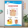 Pintura Pendurada para Clínica Odontológica Cartaz de Publicidade para Clínica Odontológica Quadro de Parede Pintura de Decoração de Parede para Estomatologia Mural de Dentes de Alta Qualidade